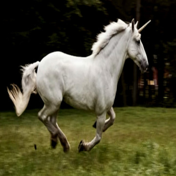 Un unicornio captado en cámara corriendo