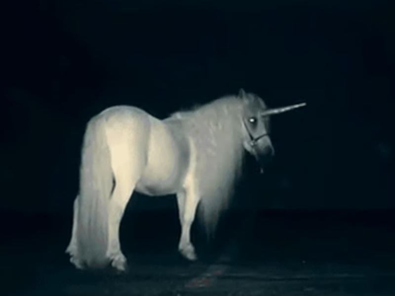 Un unicornio captado en cámara en la oscuridad